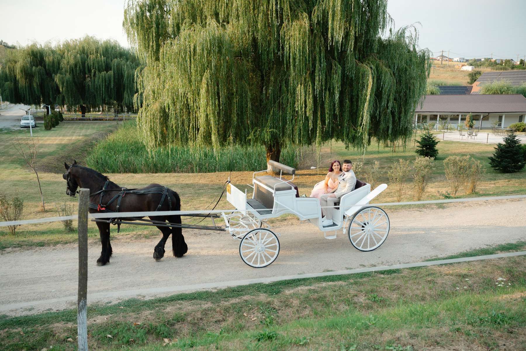 Caleașcă albă trasă de un cal negru pe domeniul de zece hectare al Conacului Archia